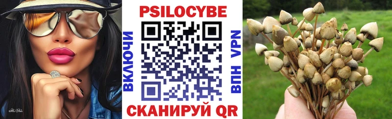 наркота  Серпухов  Галлюциногенные грибы Cubensis 