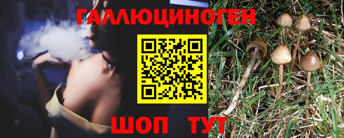 Псилоцибиновые грибы прущие грибы Серпухов